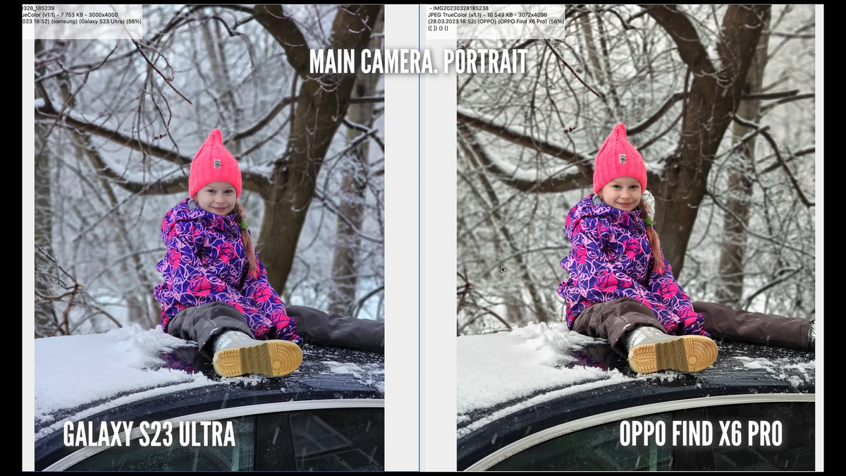    ЧЕСТНЫЙ БЛОГ