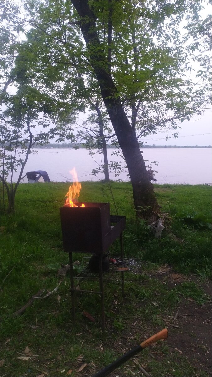 Скоро жарить