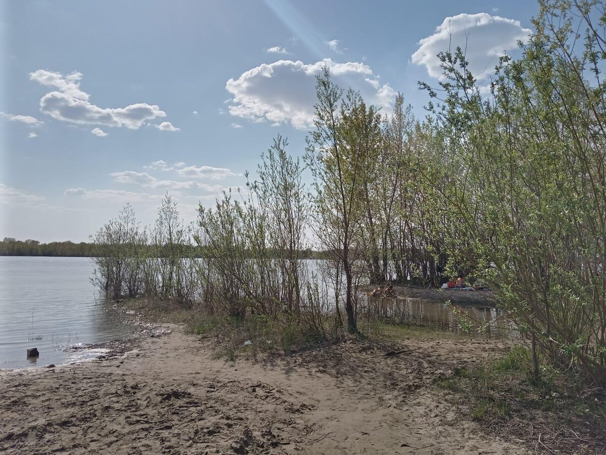 Гибнущее озеро. Озеро в Новосибирске. Ям озеро. Рыбалка на озере. Озеро село Дзержинское.