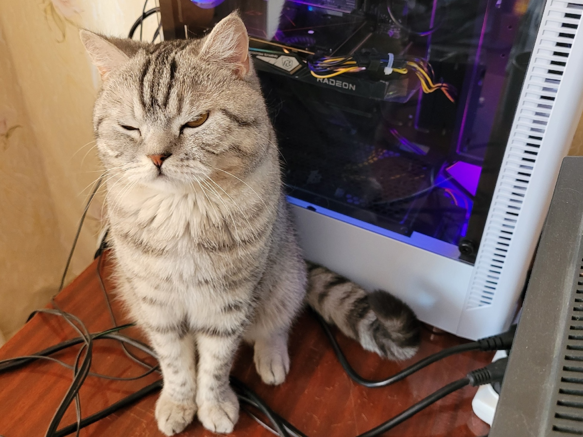 ���� � �� ���������. �������� ����: fishki.net 