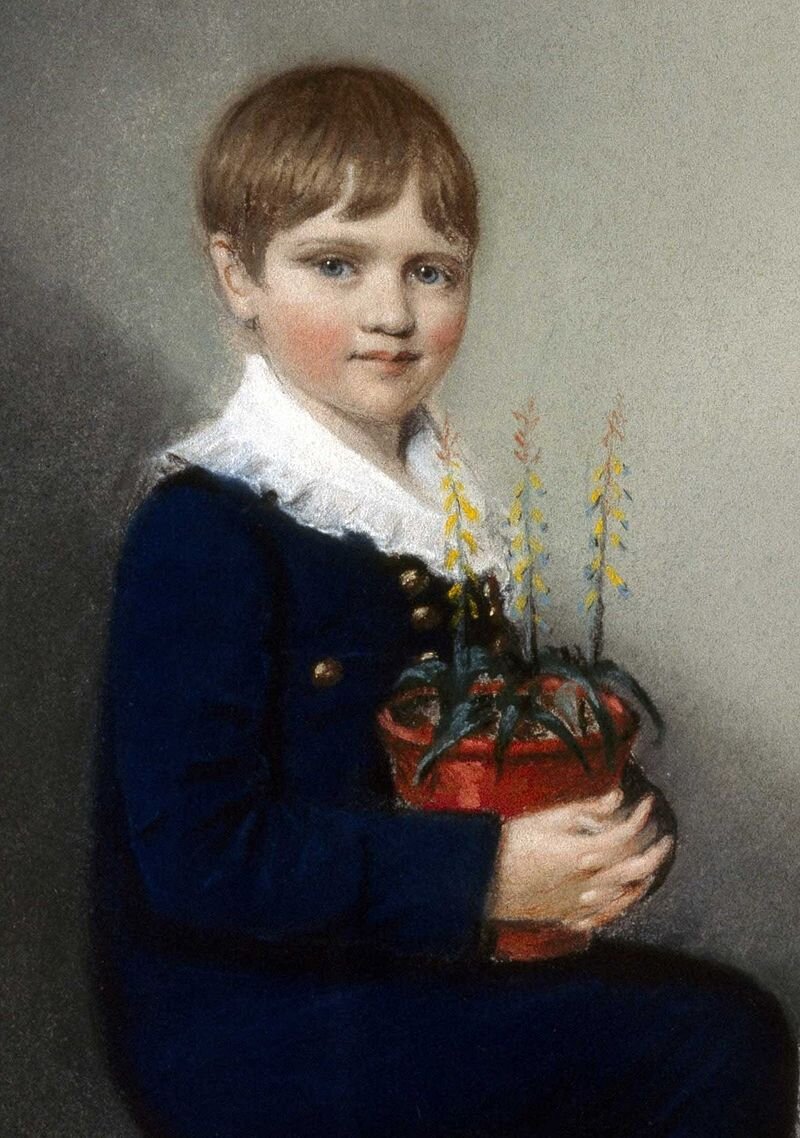 Эллен Шарплз "Чарльз Дарвин в возрасте 7 лет". 