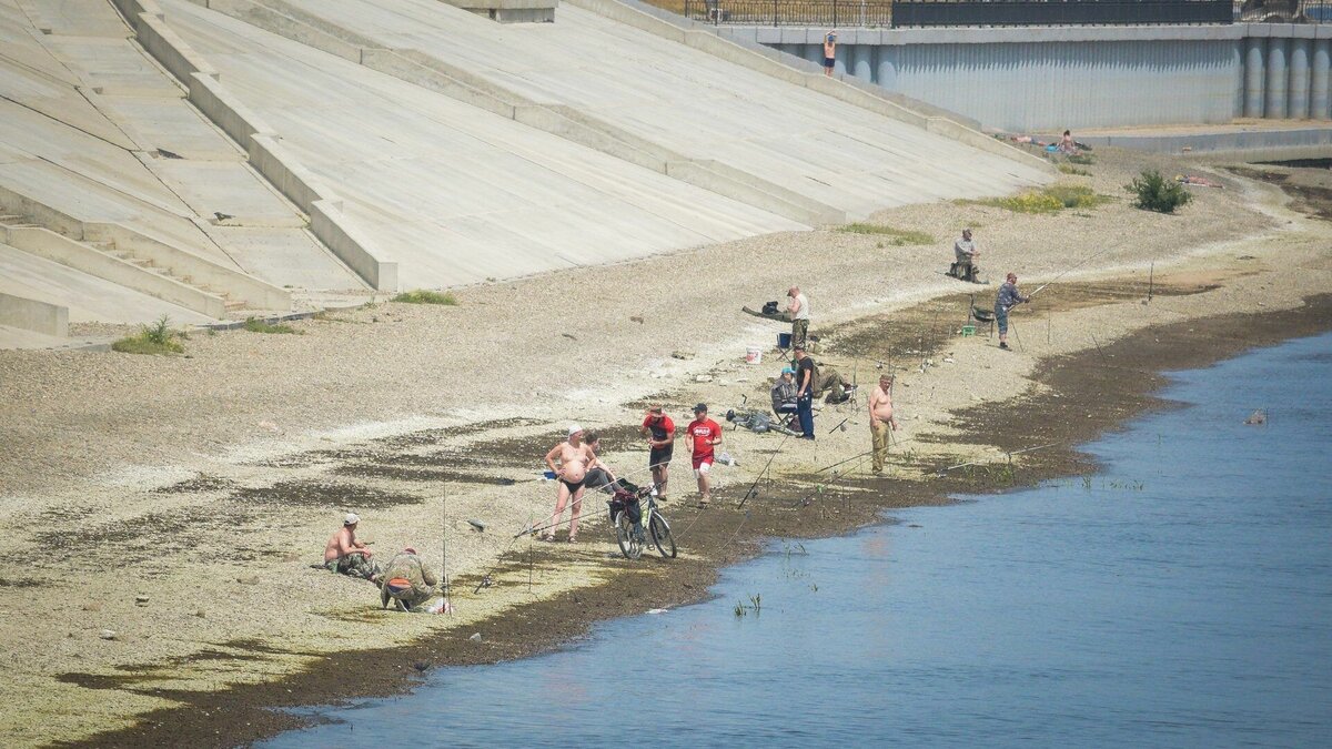     В центре Волгограда на берегу Волги уже не первый день выстраиваются рыбаки, словно на соревнованиях по рыболовному спорту. Горожане, в свою очередь, жалуются, что ловить рыбу в период её нереста нельзя.