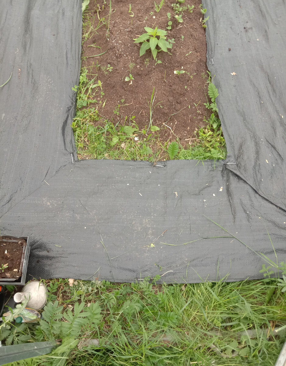 Вот так выглядит