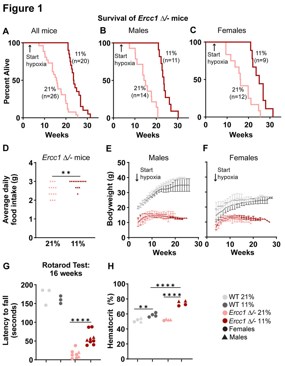   Robert S. Rogers et al. / PLoS Biology, 2023