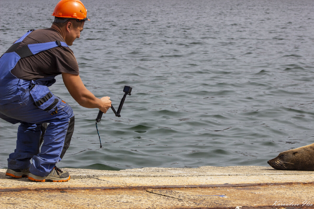 Фото И.Карандеева