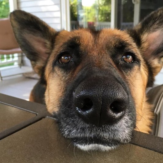 Все фотографии из открытых источников интернета