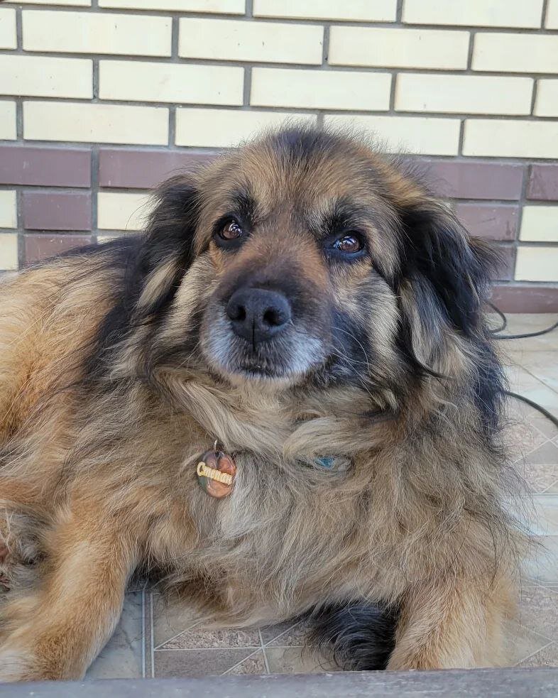 Фото- собственность канала