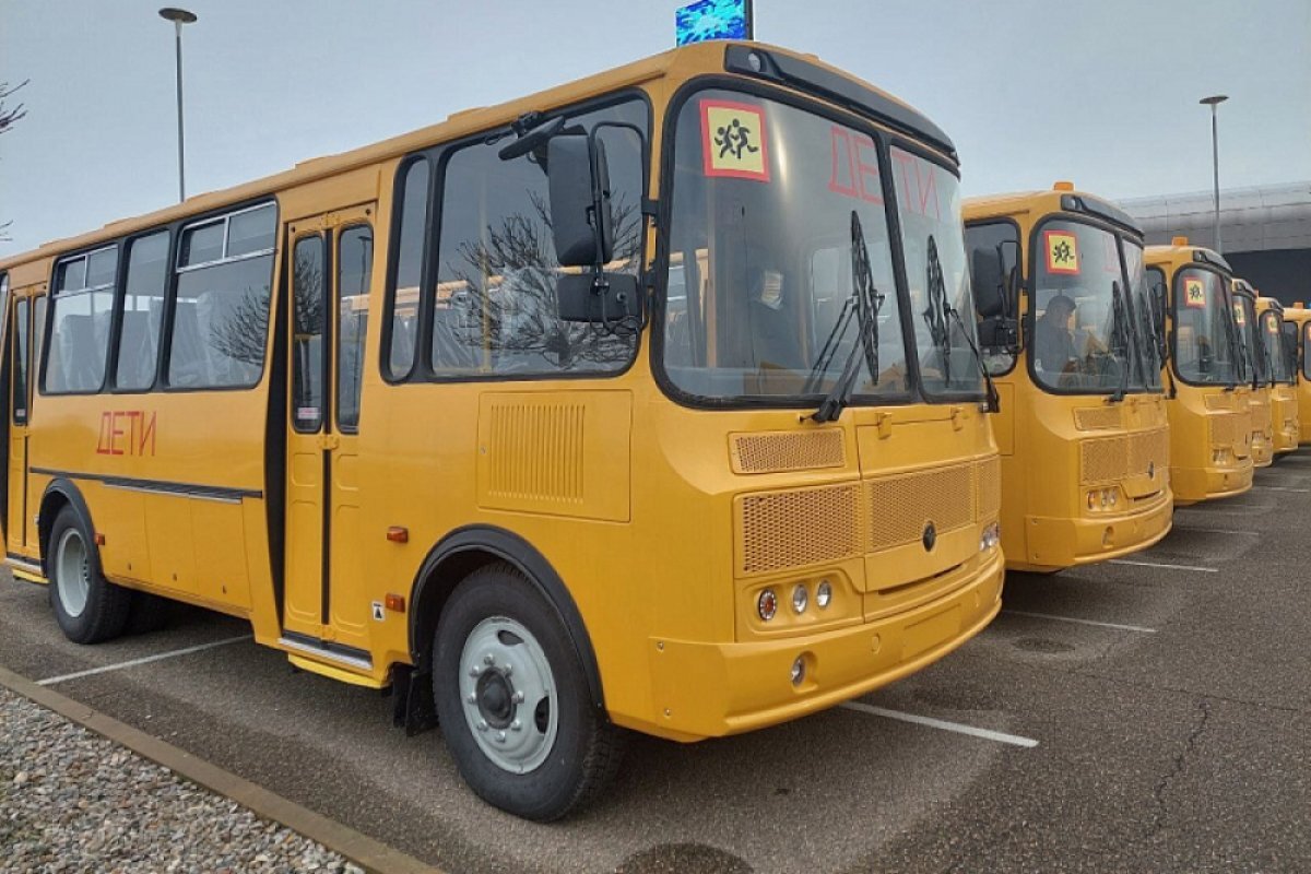    Школьные автобусы на Кубани будут ездить по платным дорогам бесплатно