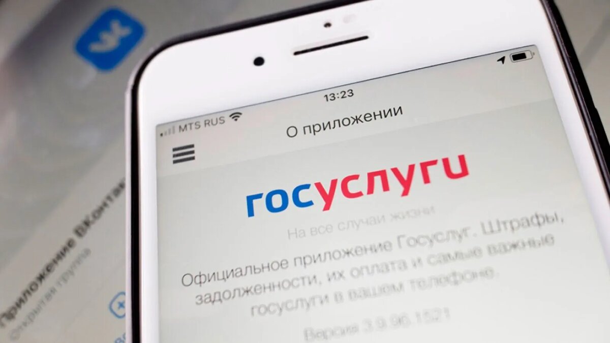 Как подать заявку на кредит через Госуслуги? 