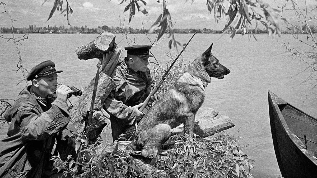 Фото пограничников вов 1941 1945