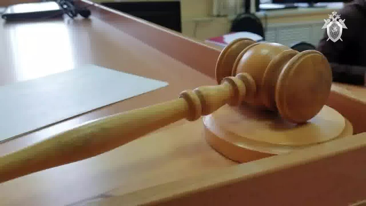    В Брянске арестовали по делу о крупном мошенничестве прославившуюся после смертельного ДТП Олесю Сивакову avchernov