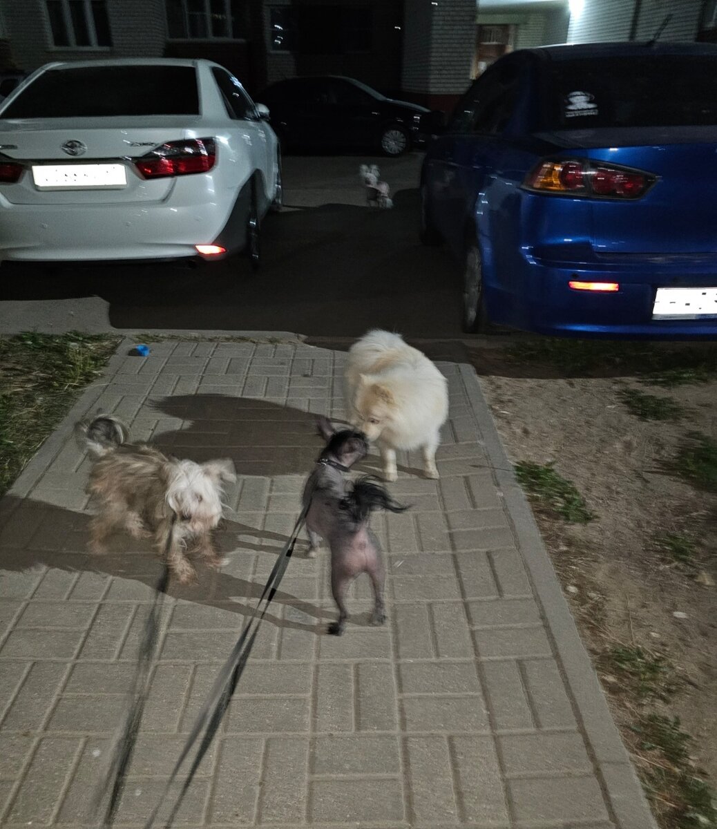 Фото автора. Проверка белых штанов на прочность.