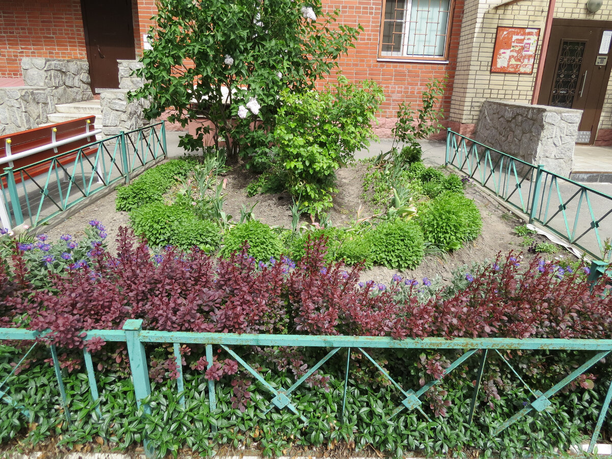 01.06.2023. Клумба 2.