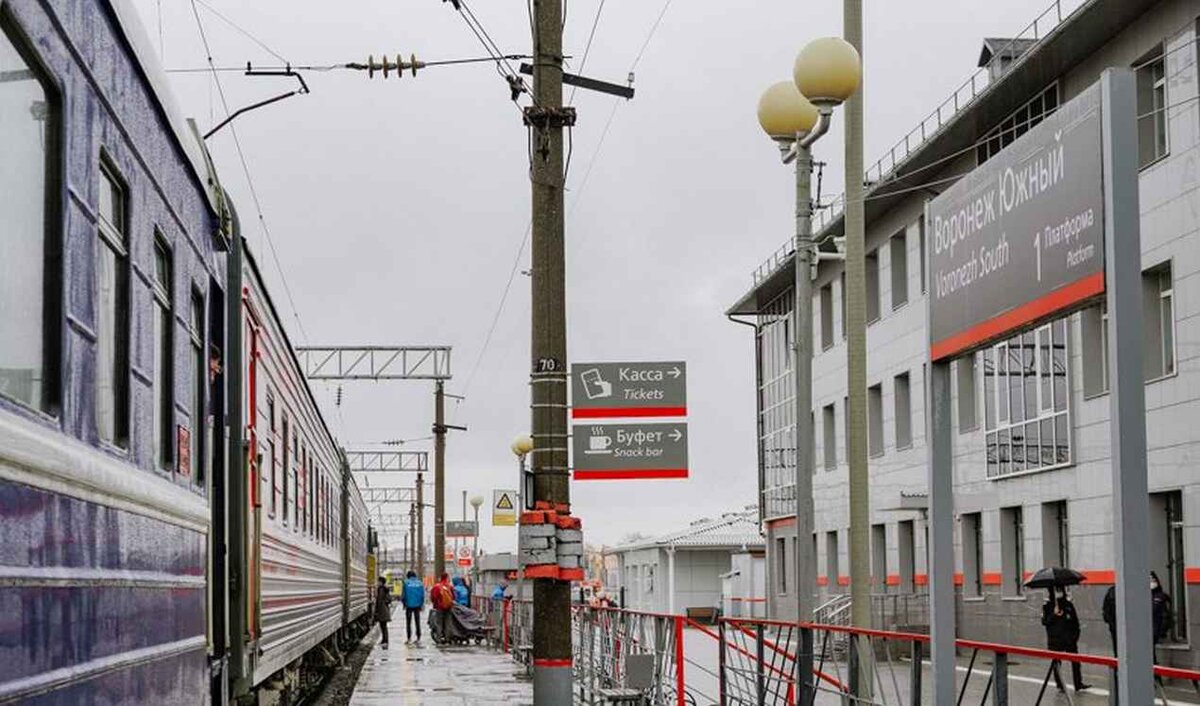 Сплошные проверки пассажиров поездов анонсировали воронежские  железнодорожники | Горком36 | Воронеж | Дзен