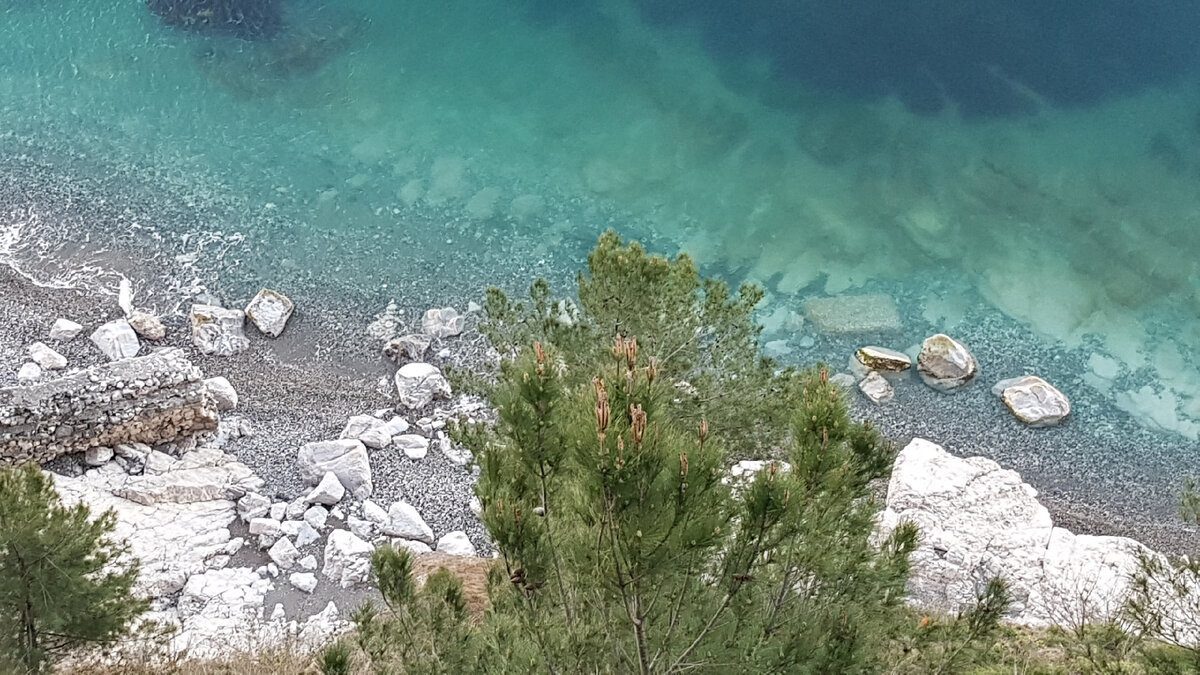 Сколько градусов вода в море сочи сегодня