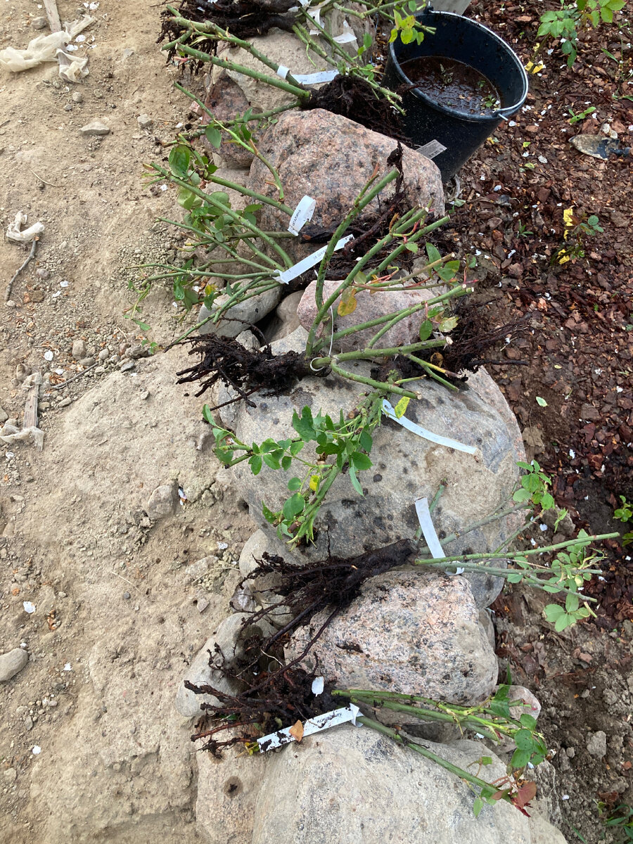 Рассортированы по типам. "Чайников" сажаю вперед