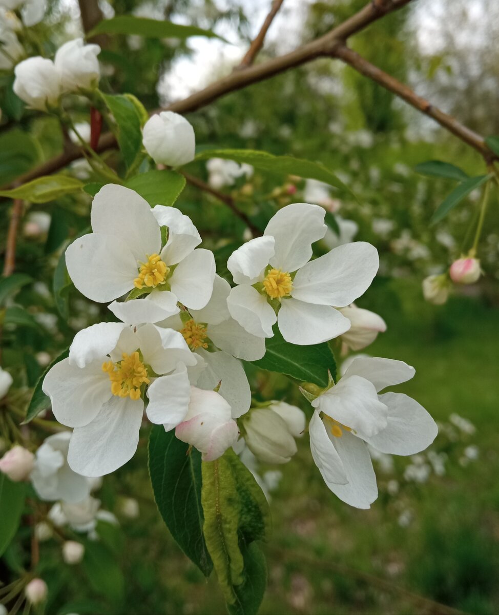 Какие планы на пятницу