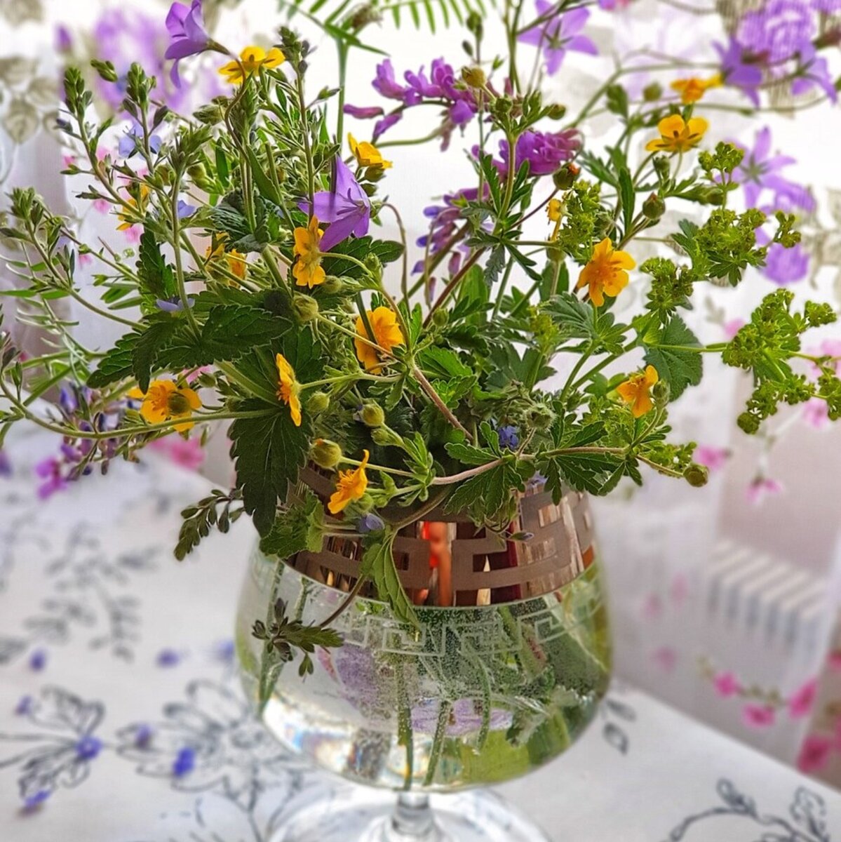 Фото: Лягушка-Царевна 