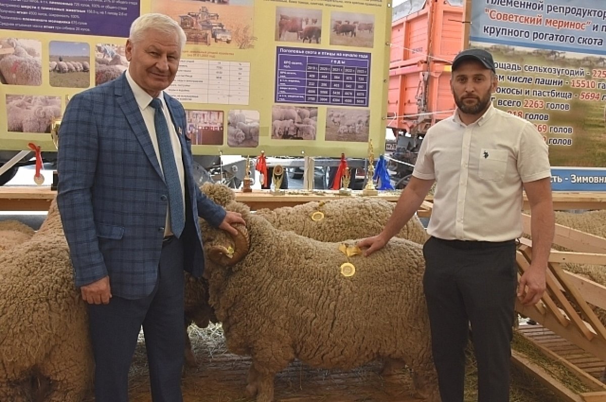    Глава администрации Ремонтненского района Анатолий Пустоветов и руководитель КХ «Элита» Ахмед Исаев.