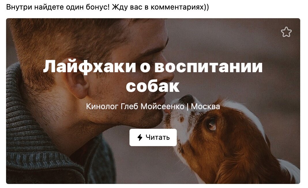 Вам может быть интересно — vk.com/@gleb_kinolog-laifhaki-o-vospitanii-sobak