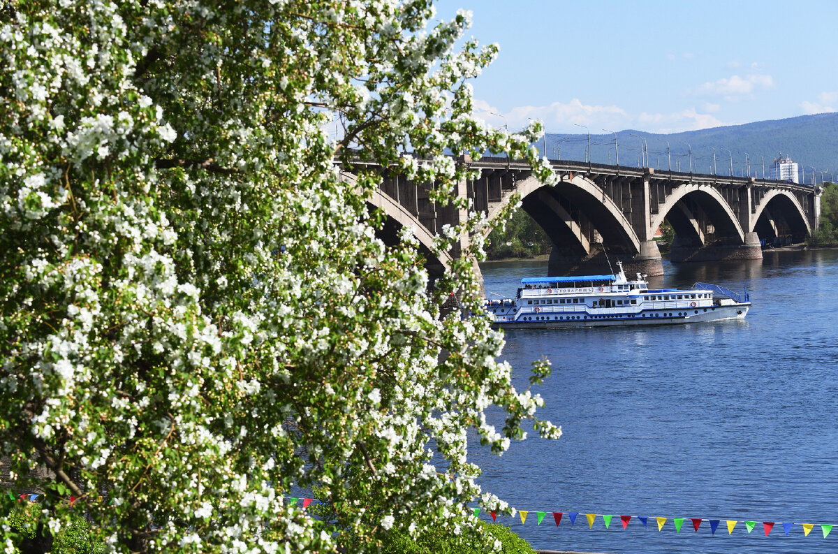 ©РИА Новости / Илья Наймушин