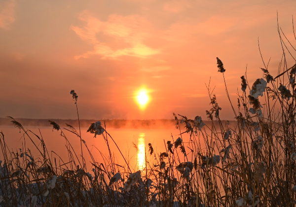 Автор фотографии -  Рудольф Гинтер.  Источник изображения : id70252019 