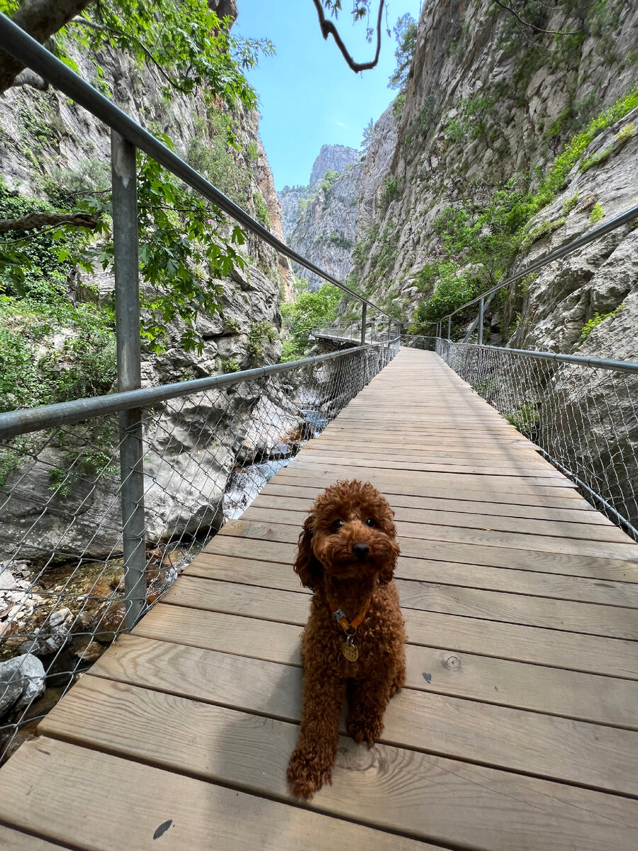 Вход в каньон 