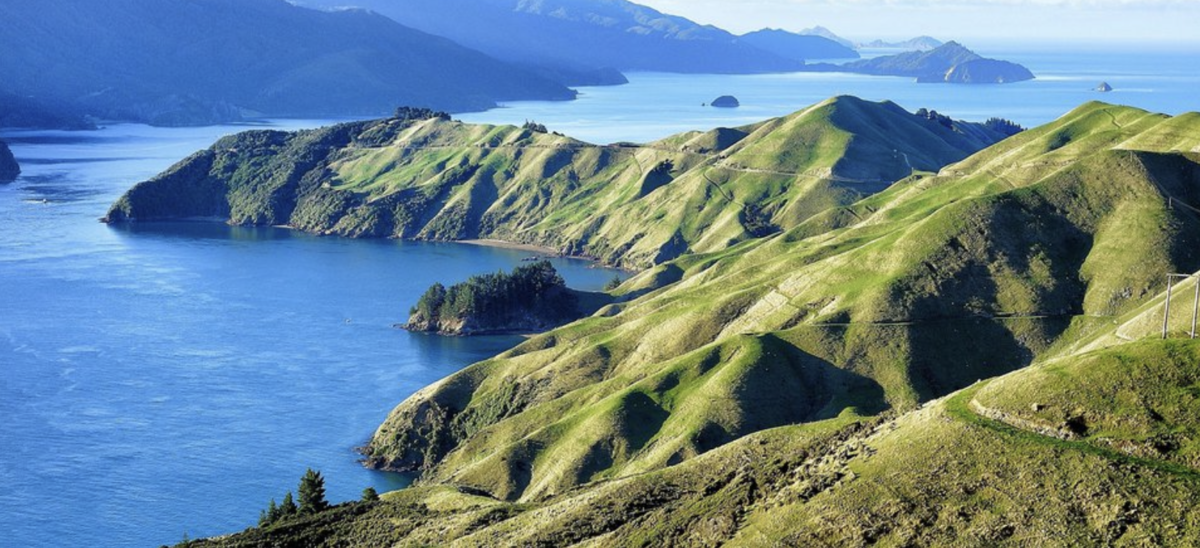 Пролив новой зеландии. Marlborough Sounds Марлборо. Пролив Кука новая Зеландия. Новая Зеландия Северный остров. Дюрвиль остров новая Зеландия.