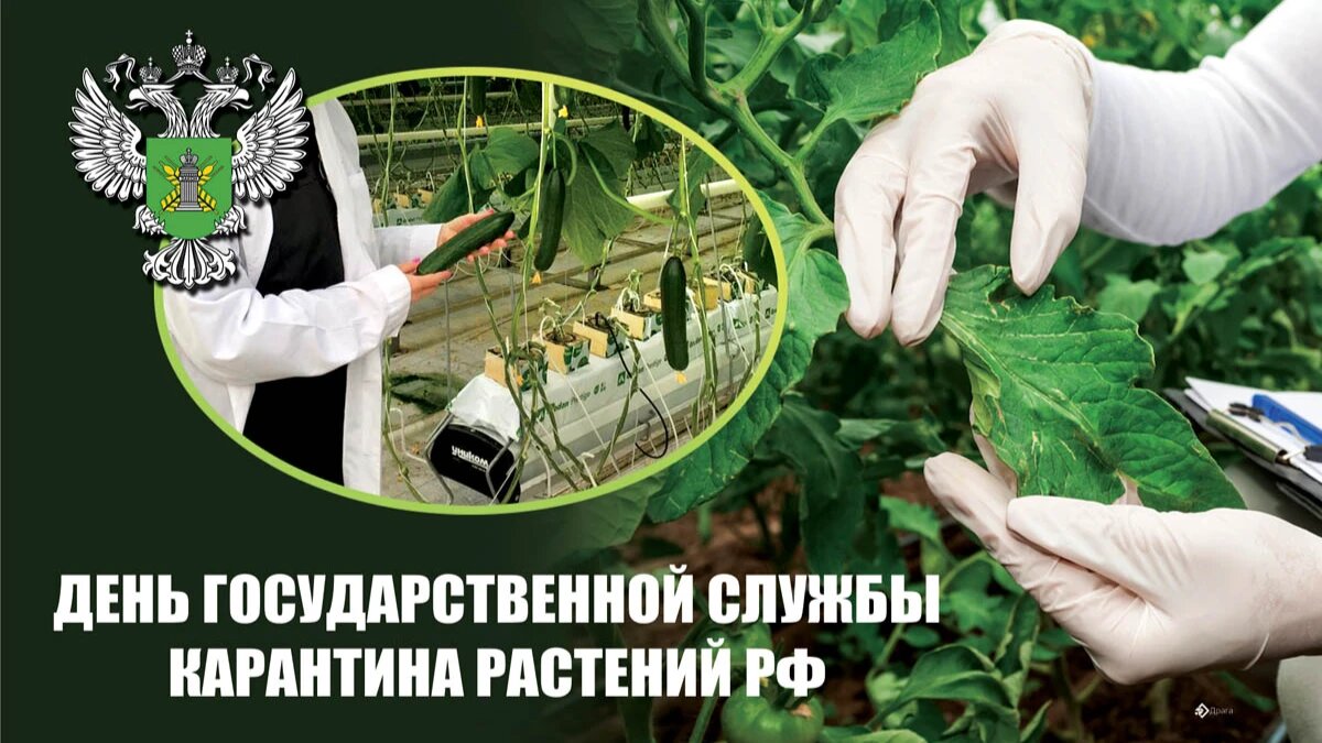 На сто ладов