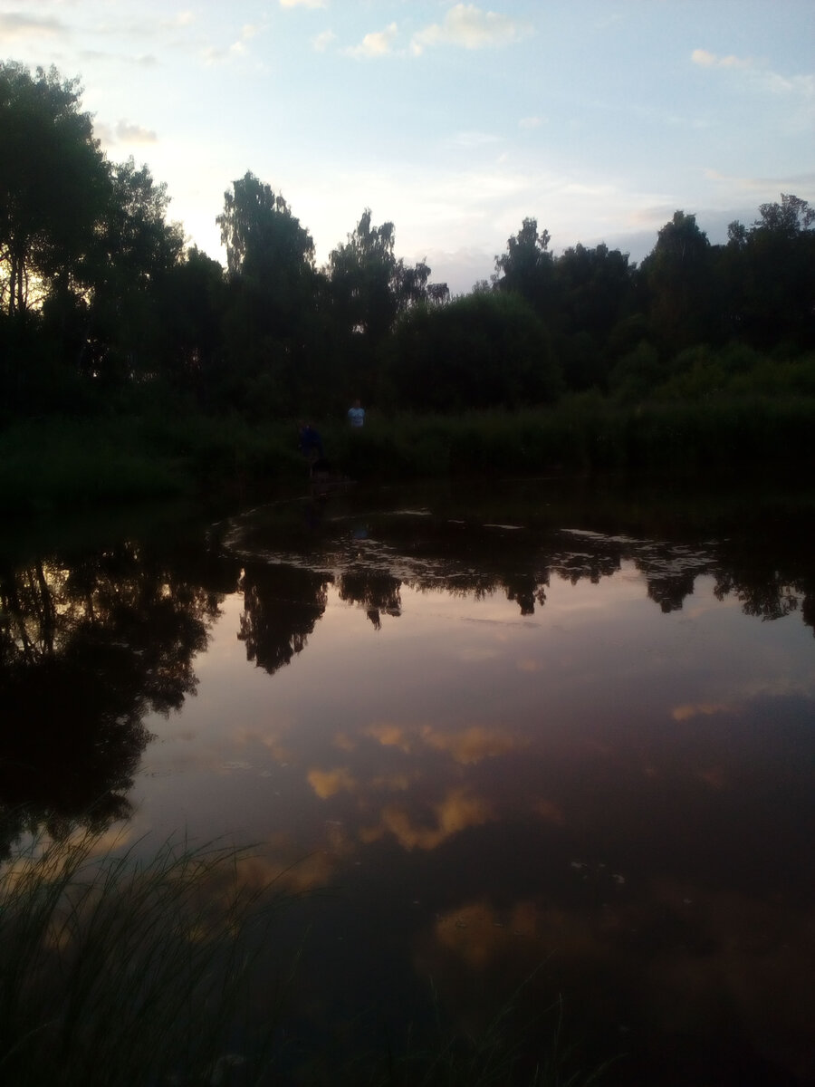 Тот самый пруд