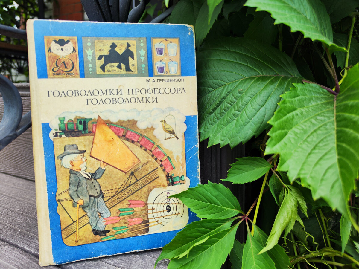"Головоломки профессора Головоломки" М. А. Гершензон, Детская литература, 1989