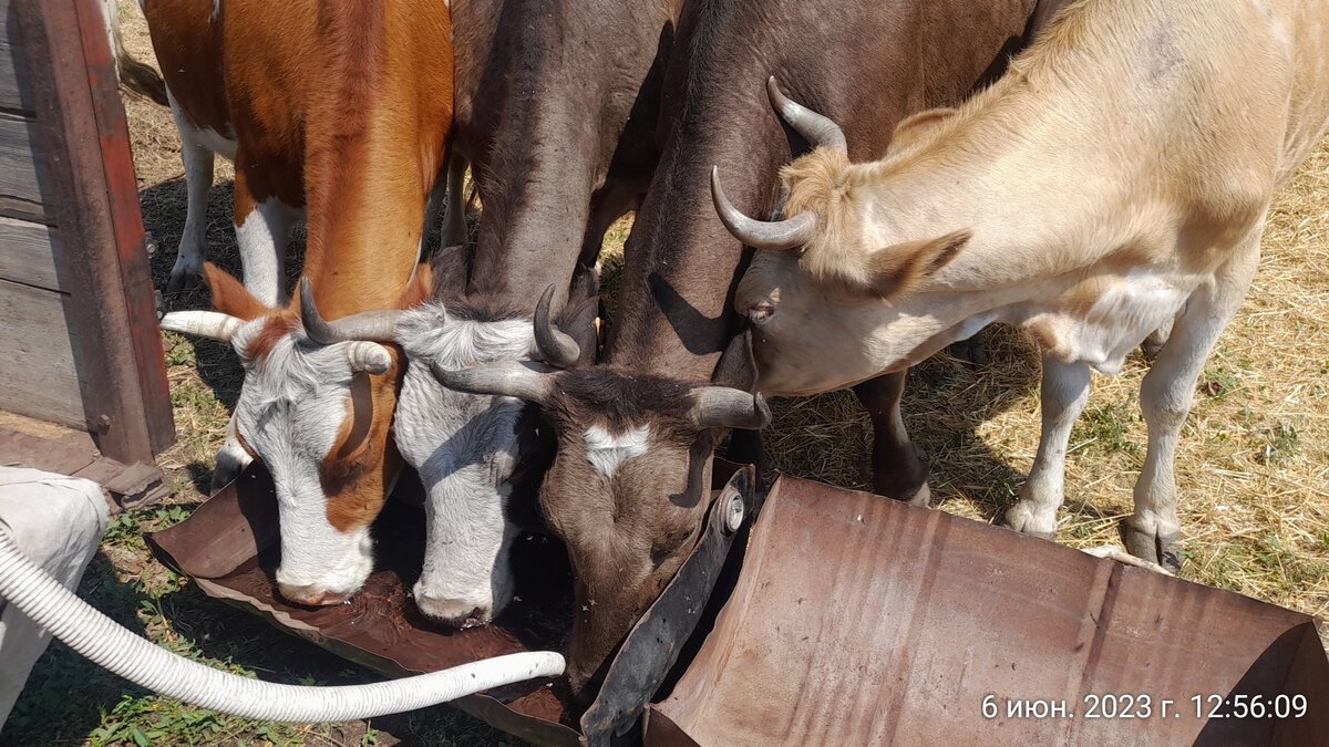 бой за место под солнцем