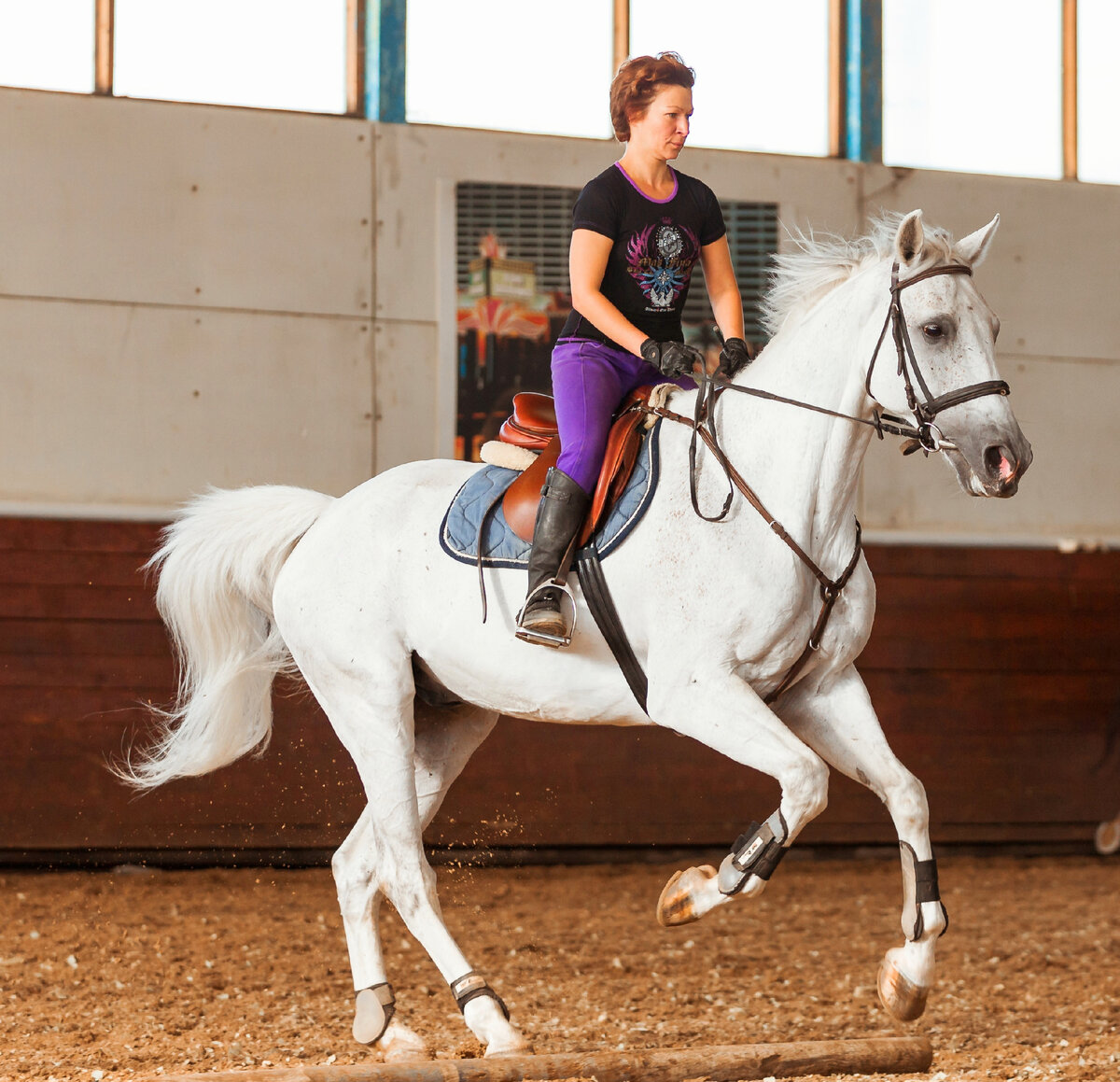 А вот этот конь привез автору мужа. Но об этом не сейчас))