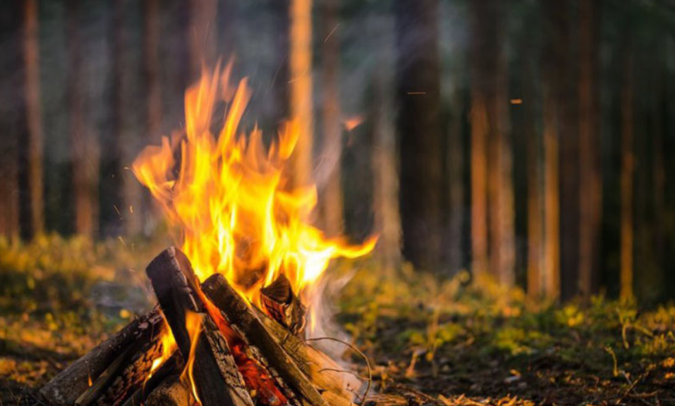 Присоединяйтесь к свету и теплу товарищества друзья
