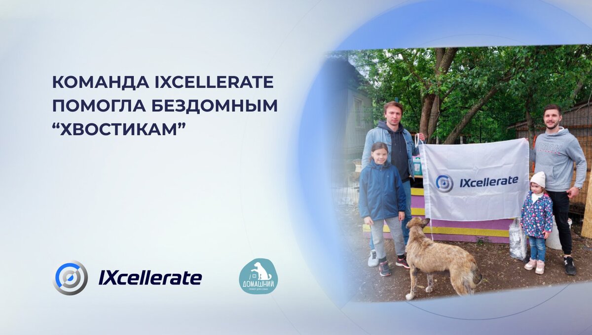 Команда IXcellerate посетила собачий приют "Домашний"