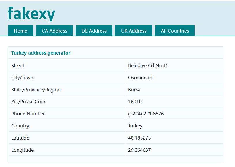 Почтовый индекс new york. Рандом адрес США. Рандомный адерс США. Turkey address. Рандомный адрес Турции.