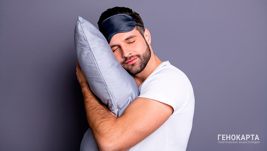 Roman Samborskyi // shutterstock.com