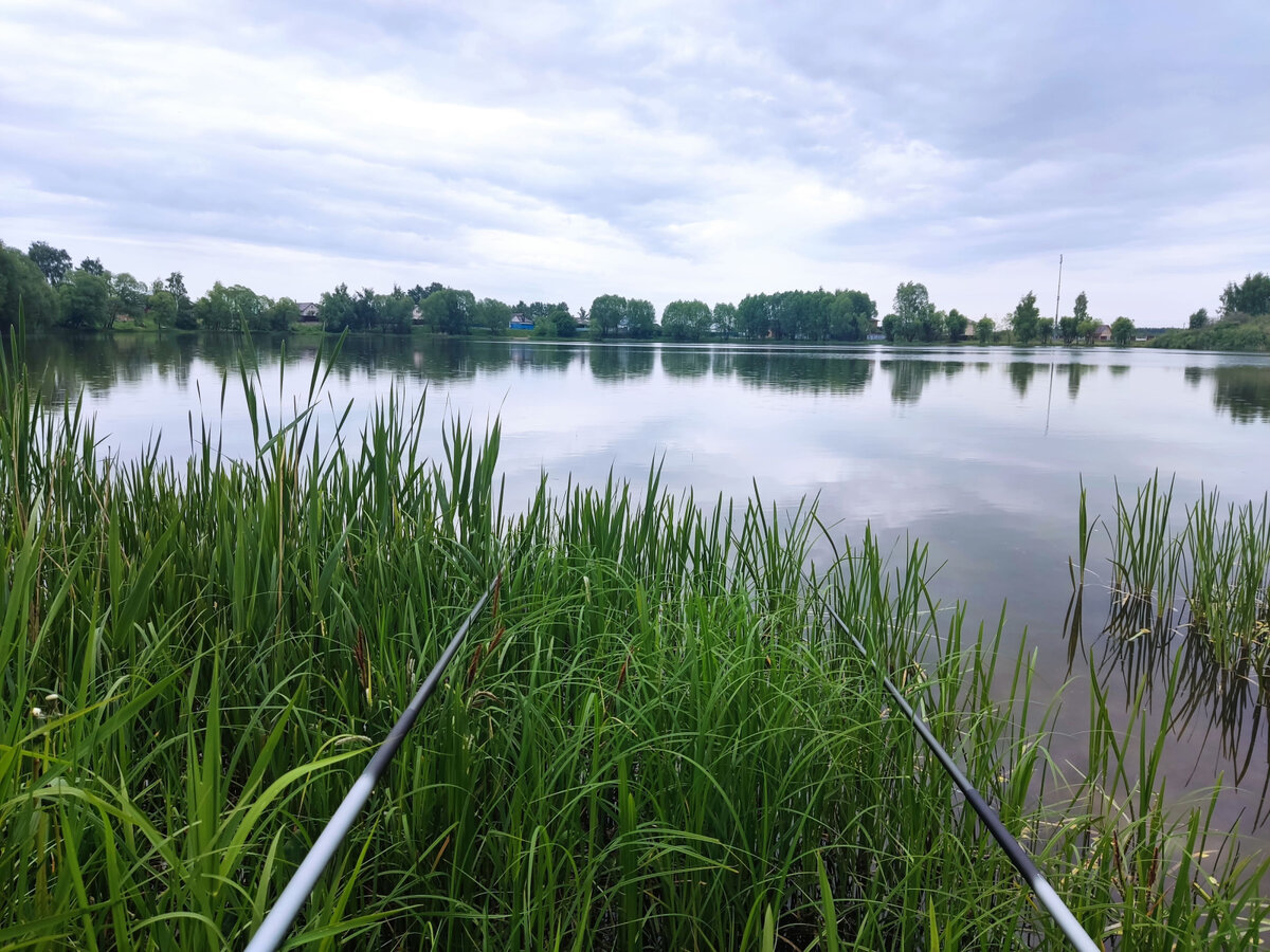 Деревенский пруд, пара махалок и ожидание поклевки карасика-"пятачка".