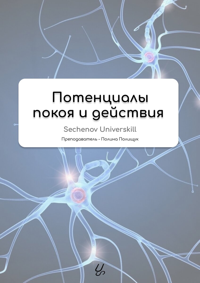 Потенциалы покоя и действия | Александр Сеченов из медицинской онлайн школы  - Sechenov Universkill | Дзен