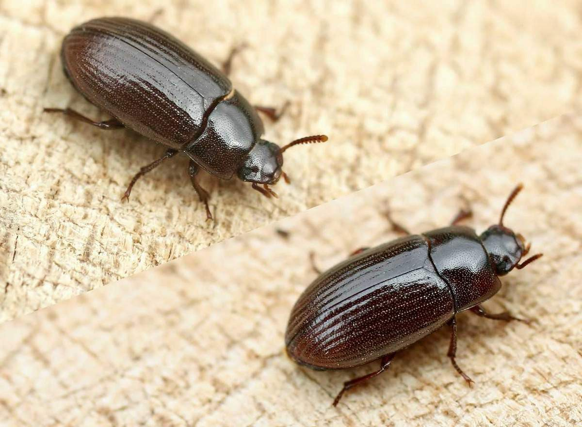 фото из Интернета