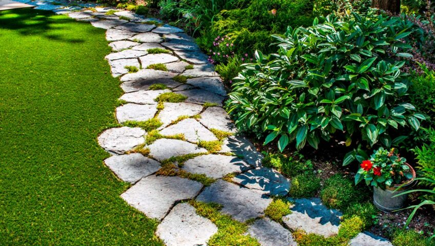 Яндекс.Картинки