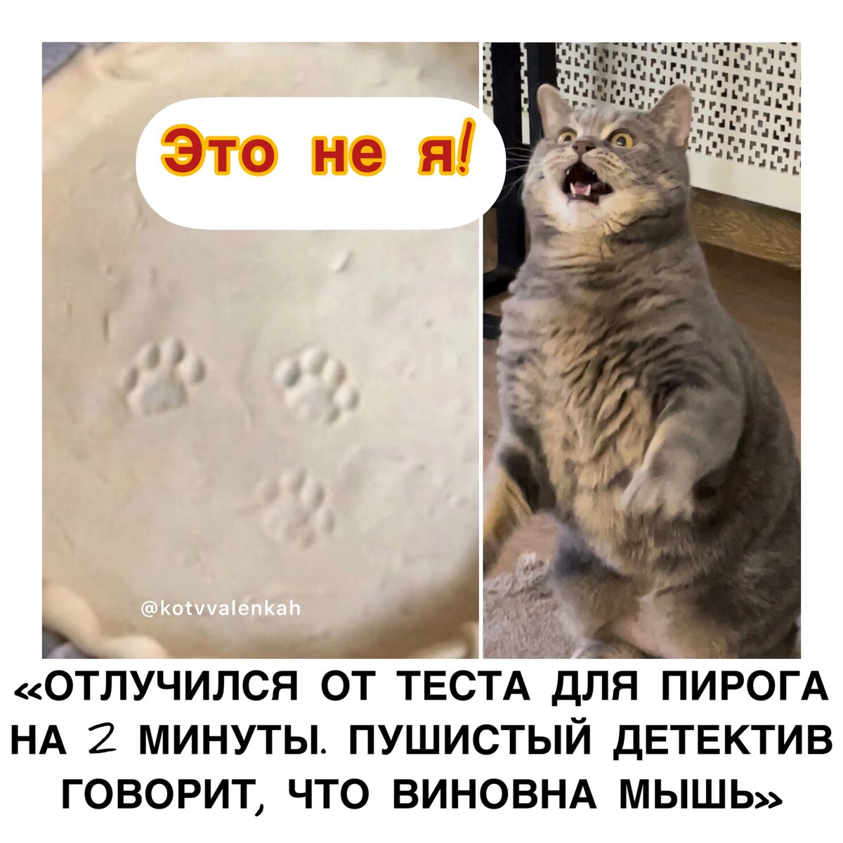 Мемы субботы или эти опять что-то празднуют🙀 | Кот в валенках Марсель |  Дзен