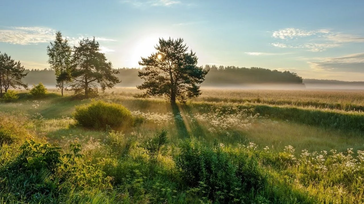 С чем придётся столкнуться Козерогам в первом месяце лета? Самый точный прогноз для Козерогов.
