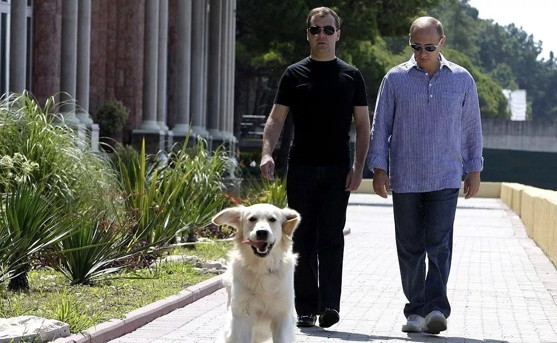 Владимир Путин, Дмитрий Медведев и Альбо