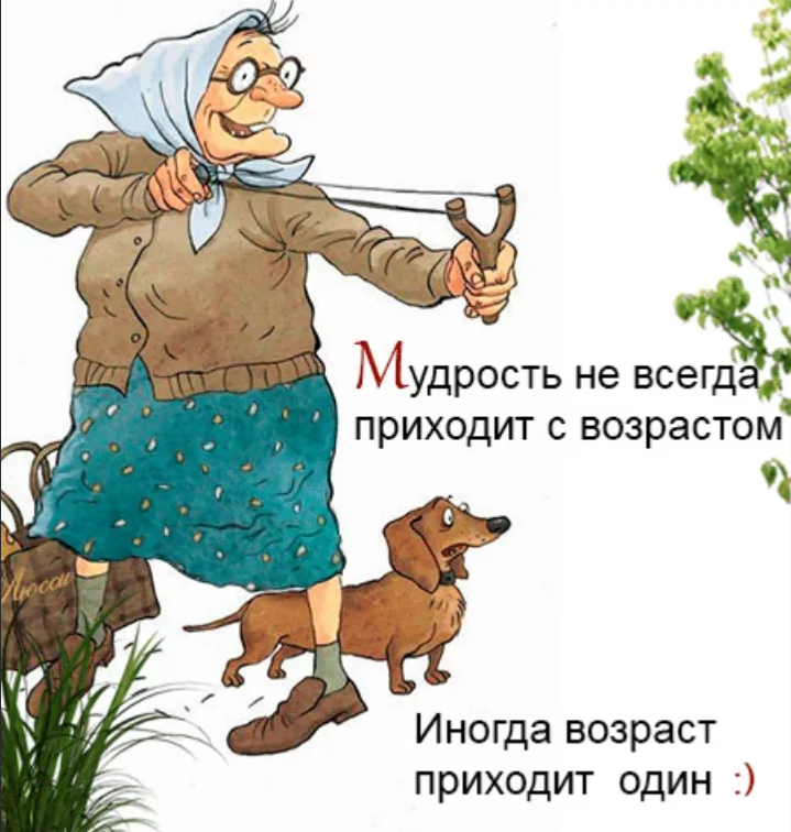 Какие-то скрипы, вставные зубы, склероз... Взрослею что ли? 😁 | КОТО🐈 ...