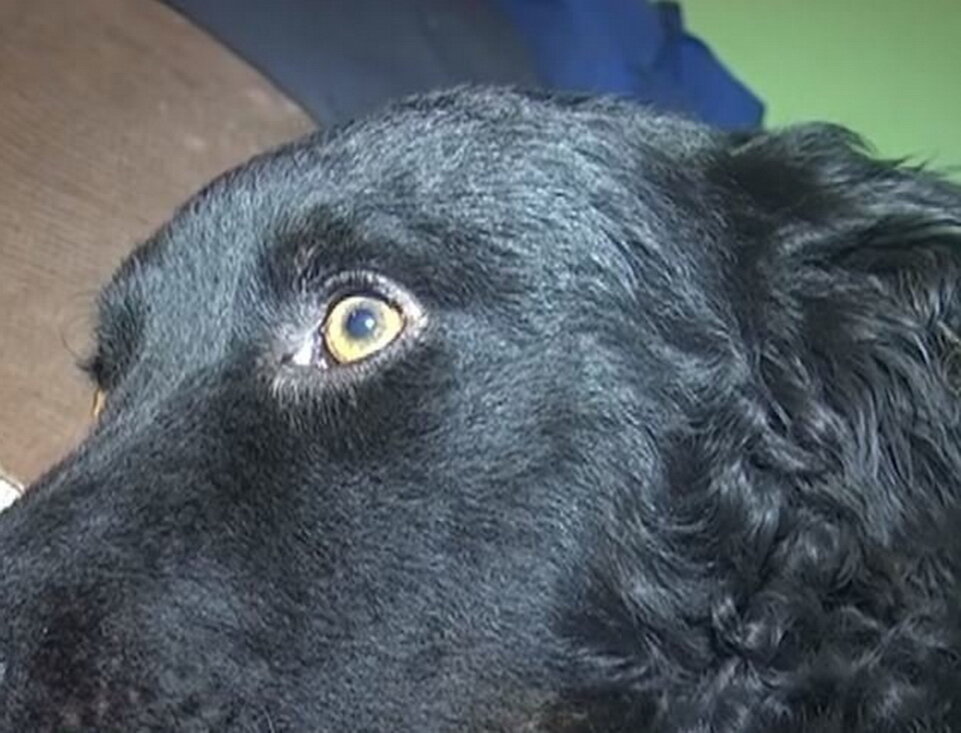 Зевс тогда еще не знал, что на этом его беды только начинаются