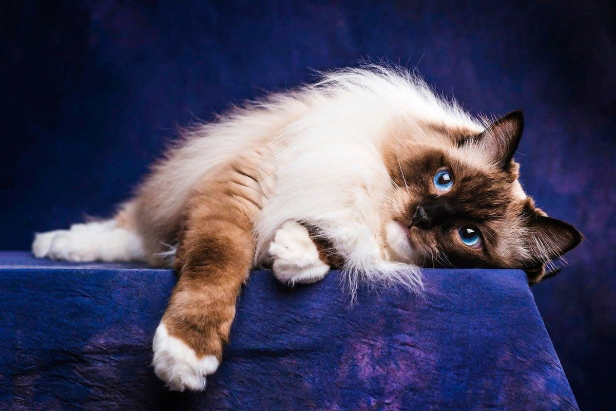 Источник - Яндекс картинки