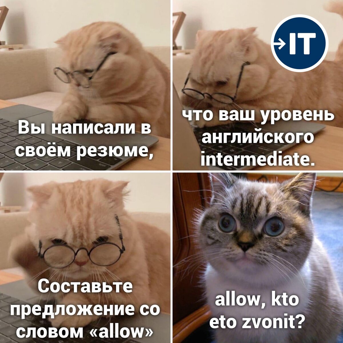 Уровень знания иностранных языков be like - allow, eto kto zvonit?!