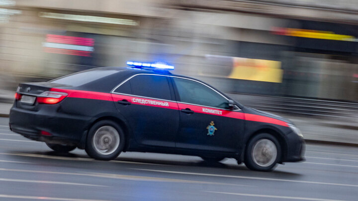 ФОТО: KONSTANTIN KOKOSHKIN/GLOBALLOOKPRESS