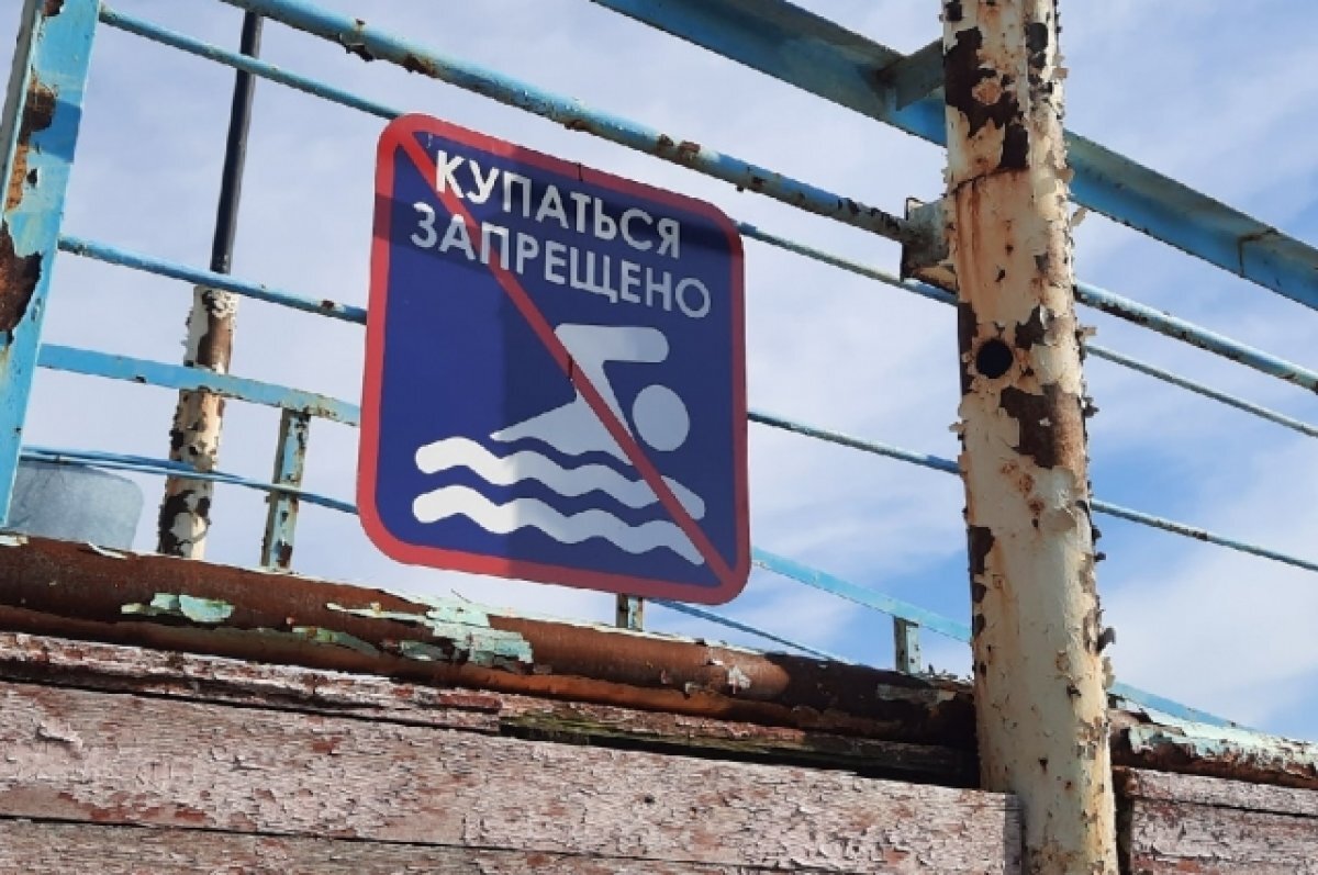    Метеоролог Позднякова рассказала, где в Подмосковье теплее купаться